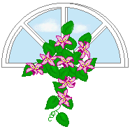 window with flowers